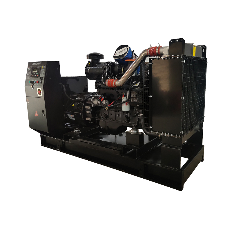 312.5kva Diesel Silent Generator Set Sale 250kw Cummins 230v Rated Voltage Auto Remote Start System Copper Radiator